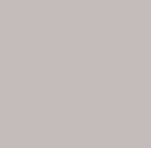 283897
