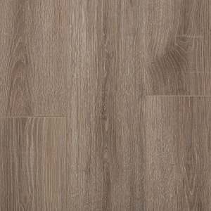 Дуб Джонсон