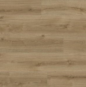 К4421RI Дуб Эвок Тренд1-1