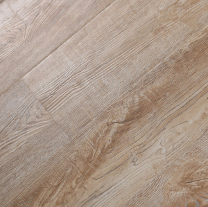 С1007 Харди-1-1