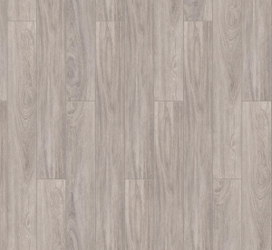 Дуб Ротондо1