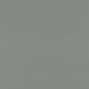 7299-23-раппорт