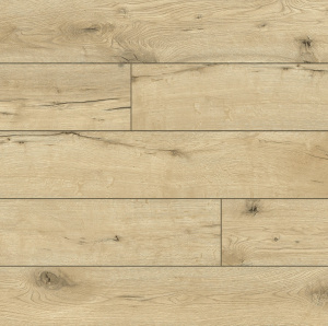 52783 Дуб Тангалика1-1