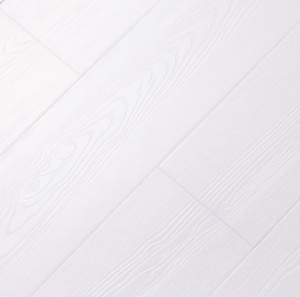 С1001 Эсбери-1-1