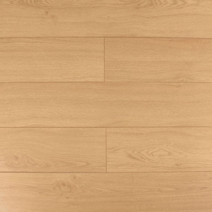 Дуб Реколета