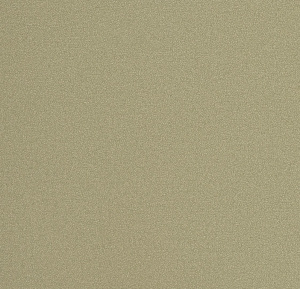 54355-8-rap-oboykin-andrea-rossi-spectrum-plus