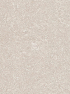 20231027081857_Amazoniya_fon_6295-2