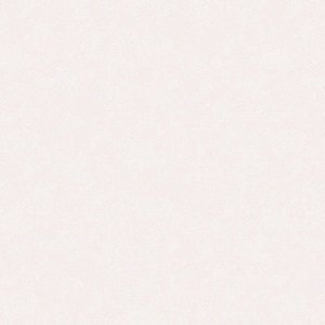 ERISMANN Light 4544-4 Обои  ГТ ФО  1,0610м. 16