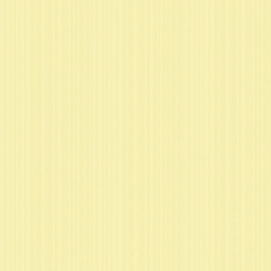 54262_1_andrea_rossi