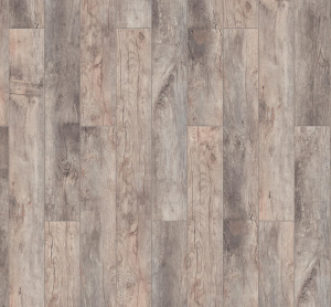 Дуб Ористано1