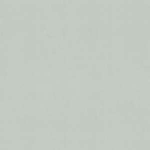 9272-04-раппорт