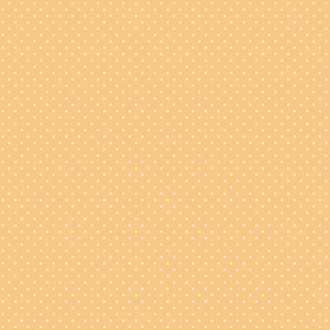 54263_9_andrea_rossi