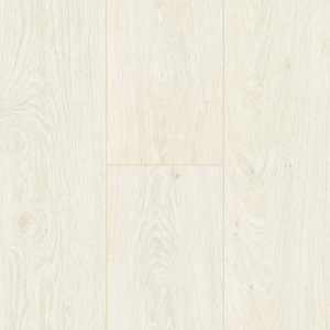 Дуб Северный