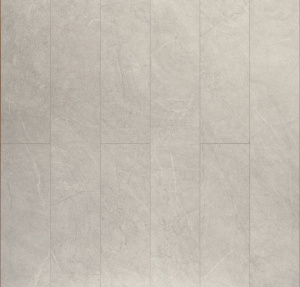 50977_assembly
