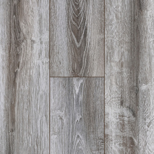 Сосна Асахи