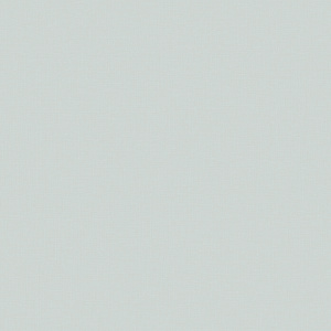 17006