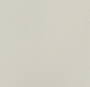 54355-27-rap-oboykin-andrea-rossi-spectrum-plus