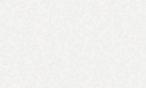 168286-10