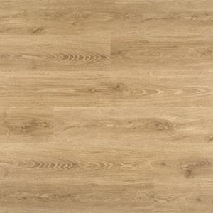 c3f35c0e6c0caace7cf422eb2ecc1bd7