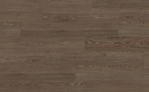 Дуб Кортон чёрный-1