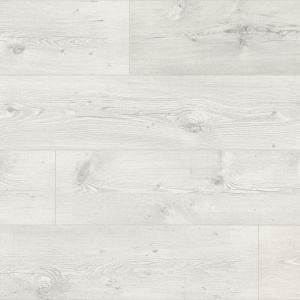 Хэмлок Онтарио-2