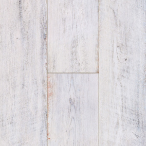 Дуб Балатон