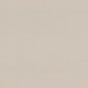 7299-02-раппорт