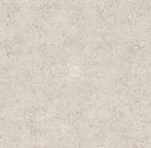 20220309104559_Chikago_6277-2