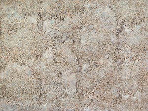 9a971e35df87f1cd5fe9fc72ccce0ec4