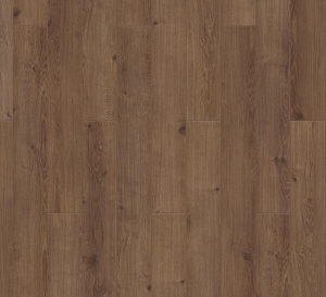 Дуб Стронг-1