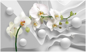 1644827457_1-idei-club-p-fotooboi-belaya-orkhideya-interer-krasivo-2