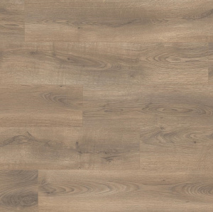 Дуб Маринео1-1