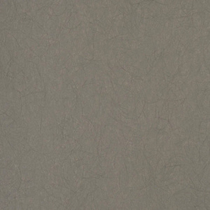 5068-8-oboi-bernardo-bartalucci-legend-595564.530x530x1x1