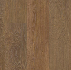 Дуб Шервуд Медовый