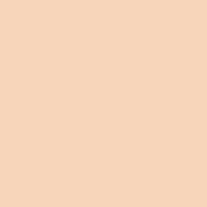 17003