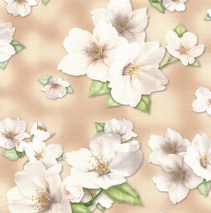 Обои Гомель Яблоня-61