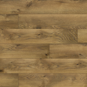 Дуб Эдинбург1-1