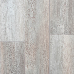 Дуб Тенерифе