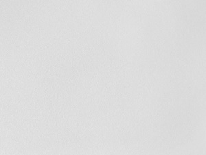 Е502408