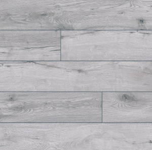 52786 Дуб Туркана1-1