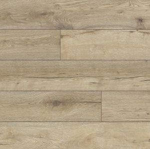 52782 Дуб Масая1-1