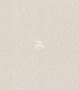 20211231092349_Nubuk_6882-1