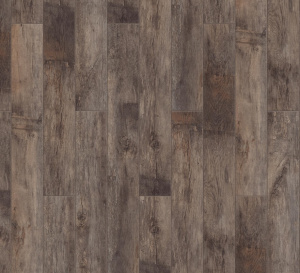 Дуб Альгеро1