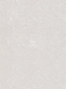 20231027081421_Amazoniya_fon_6295-1