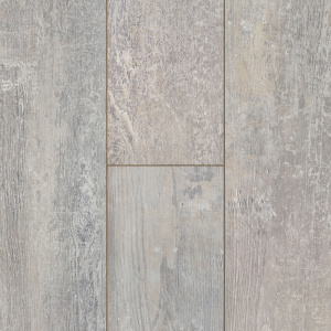 Дуб Баккара