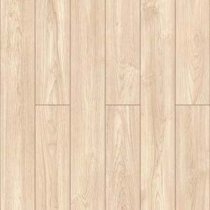 50487_assembly