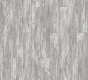 Дуб Форторе1