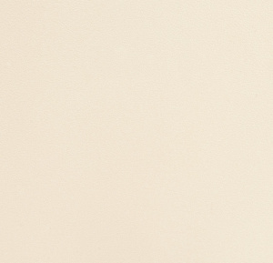 54355-2-rap-oboykin-andrea-rossi-spectrum-plus