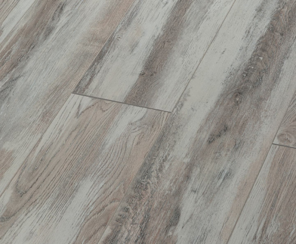 Дуб Форвард-1