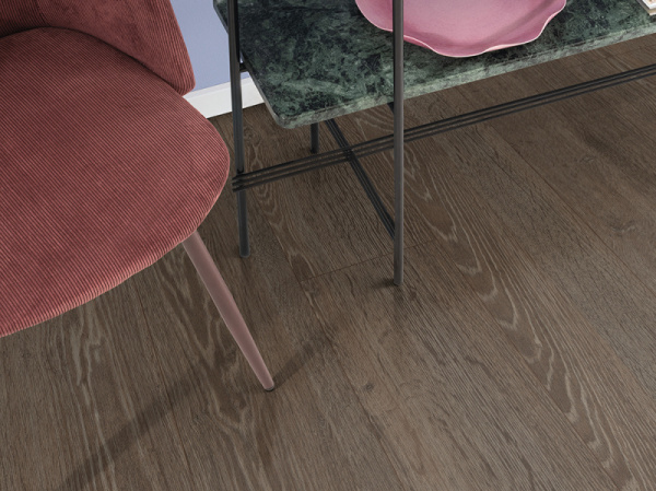 Дуб Кортон чёрный